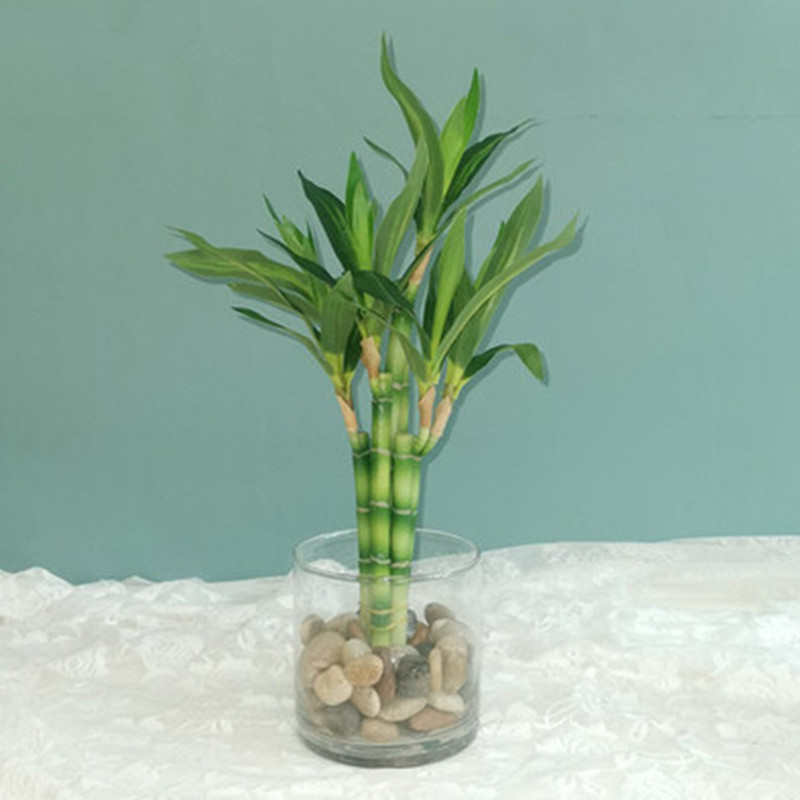 Desk Setup Equipment - Nieuwe 40 cm rFtificial Lucky Bamboe